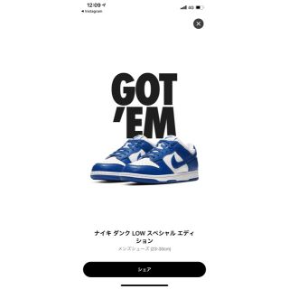 ナイキ(NIKE)のnike sb dunk low royal(スニーカー)