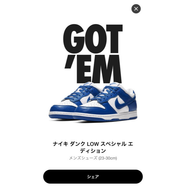 メンズNIKE DUNK LOW ケンタッキー　27.5