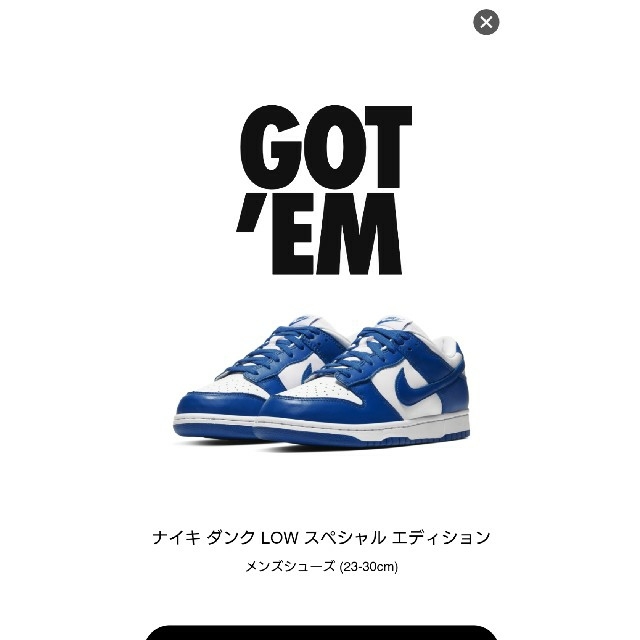 NIKE(ナイキ)のNIKE dunk low BLUE us9 メンズの靴/シューズ(スニーカー)の商品写真