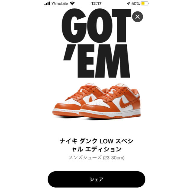 スニーカーNikeSB dunk low ORANGE BLAZE