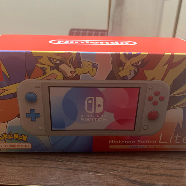 NINTENDO Switch lite ザ・シアン