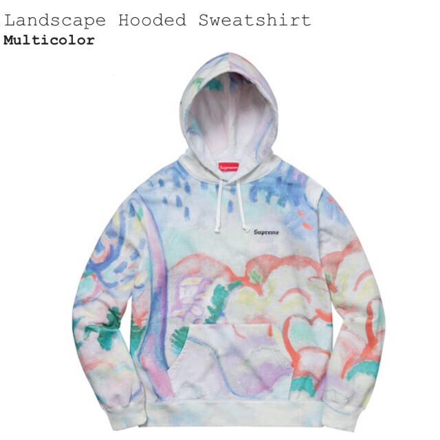 Supreme 18ss Landscape Hooded Sweatshirt