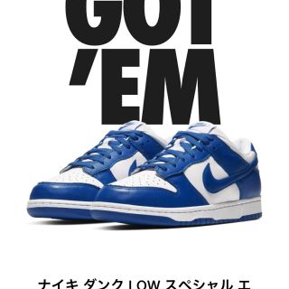 ナイキ(NIKE)のNIKE DUNK LOW VARSITY ROYAL 28cm(スニーカー)