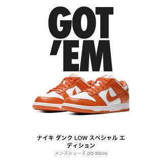 ナイキ(NIKE)のNIKE DUNK 28cm(スニーカー)