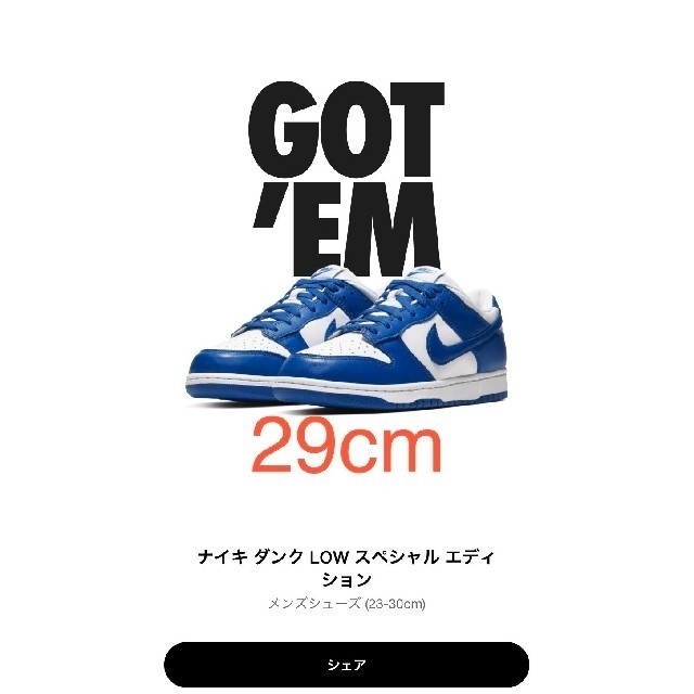 NIKE(ナイキ)のNIKE DUNK LOW ナイキ ダンク ロー 29.0cm メンズの靴/シューズ(スニーカー)の商品写真