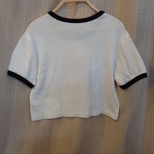 STUSSY(ステューシー)の☆STUSSY レディース ショートTシャツ☆ レディースのトップス(Tシャツ(半袖/袖なし))の商品写真