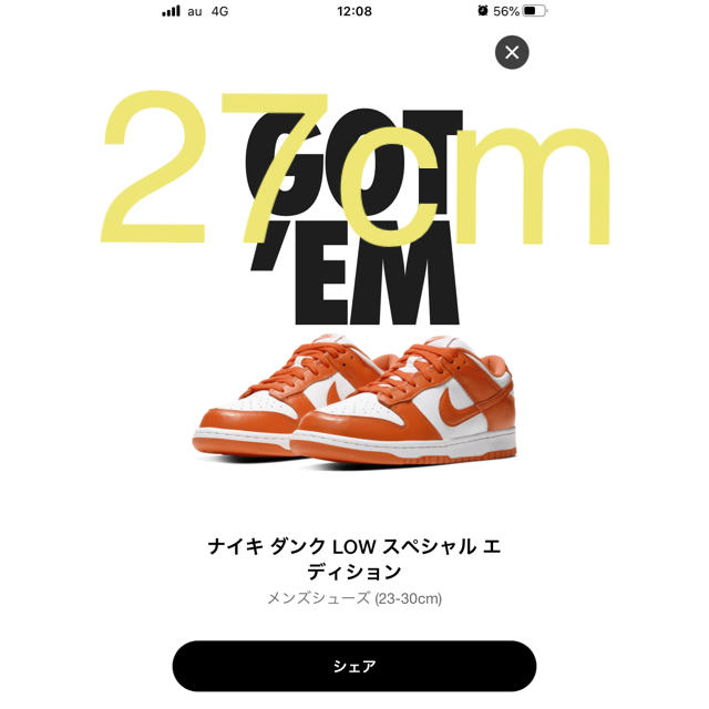 Nike Dunk Low Orange Blazeメンズ