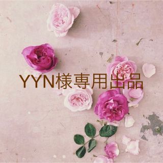 YYN様専用出品(その他)