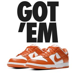 ナイキ(NIKE)のSNKRS購入 NIKE DUNK LOW SP 27.5cm(スニーカー)