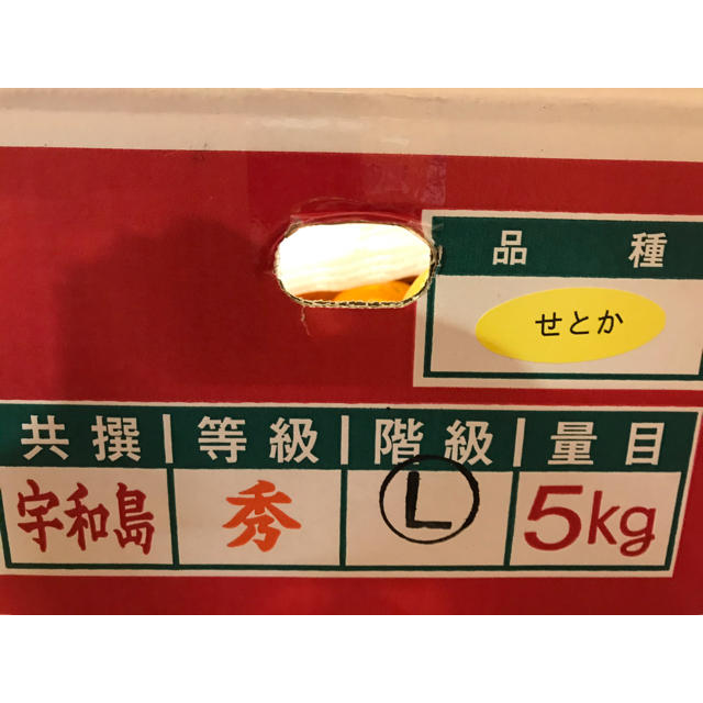 正規品せとか　5キロ箱 食品/飲料/酒の食品(フルーツ)の商品写真