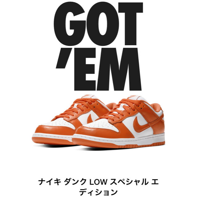 NIKE(ナイキ)のNIKE DUNK LOW ORANGE BRAZE 28.5cm メンズの靴/シューズ(スニーカー)の商品写真