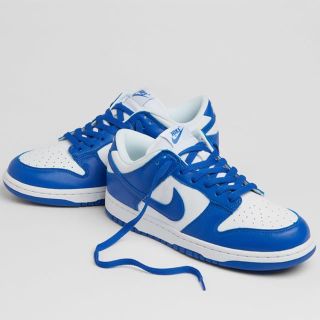 ナイキ(NIKE)のNIKE DUNK LOW  KENTUCKY 27.5cm(スニーカー)