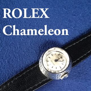 ロレックス(ROLEX)のミッフィーさま専用　GW値下げ！価格交渉可！　ロレックス　カメレオン(腕時計)