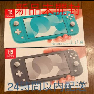 スイッチライト　グレー　ターコイズ(家庭用ゲーム機本体)