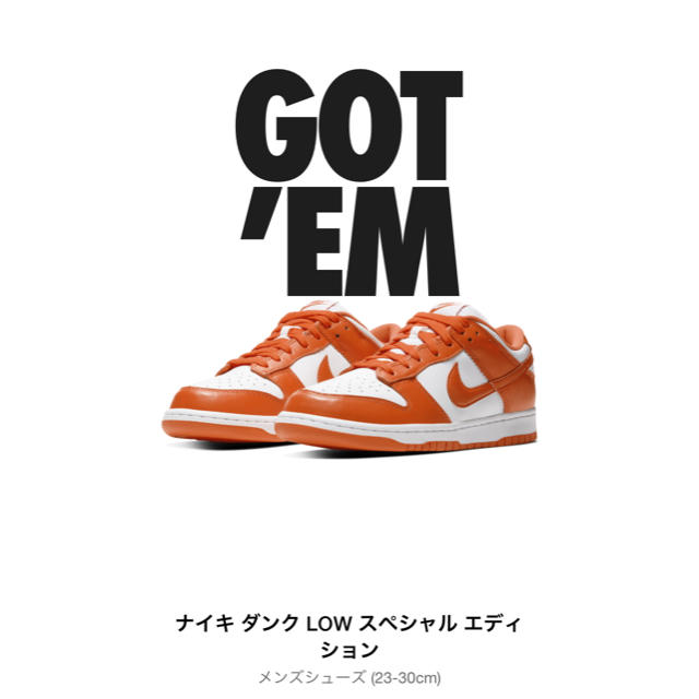 NIKE(ナイキ)の NIKE DUNK LOW SP"SYRACUSE"ORANGE BLAZE  メンズの靴/シューズ(スニーカー)の商品写真