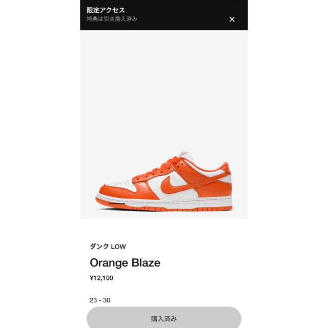 NIKE(ナイキ)の NIKE DUNK LOW SP"SYRACUSE"ORANGE BLAZE  メンズの靴/シューズ(スニーカー)の商品写真