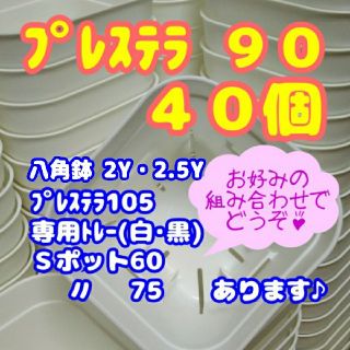 【スリット鉢】プレステラ90 白 40個 多肉植物(プランター)