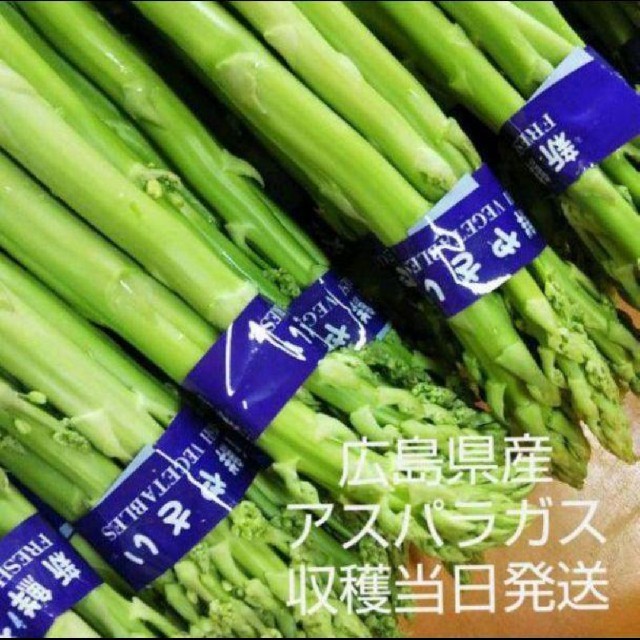 収穫開始♪広島県産 朝採れアスパラガス 規格外品 500グラム 食品/飲料/酒の食品(野菜)の商品写真