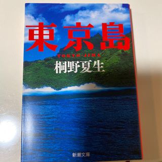 東京島(文学/小説)