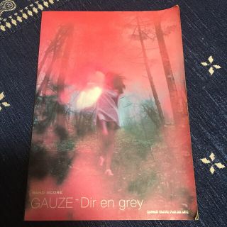 Ｄｉｒ　ｅｎ　ｇｒｅｙ 楽譜 2冊セット(楽譜)