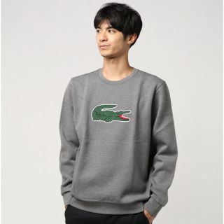 ラコステ(LACOSTE)のラコステ　トレーナー(トレーナー/スウェット)