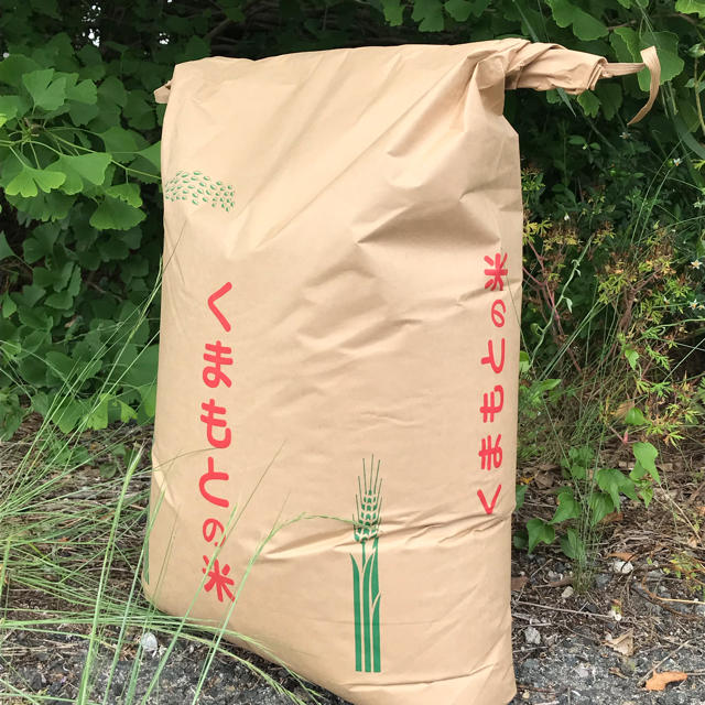 食品米20Kg送料無料（全国対応）熊本県産