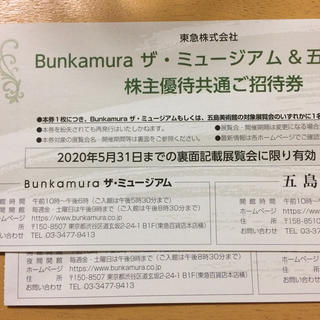 東京好奇心 2020渋谷  招待券２枚(美術館/博物館)