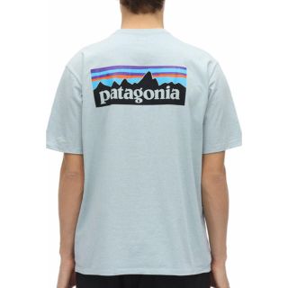 パタゴニア(patagonia)のs パタゴニア tシャツ レスポンシビリティ (Tシャツ/カットソー(半袖/袖なし))