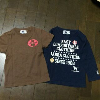 ラブラドールリトリーバー(Labrador Retriever)の専用ページ  子供服　２点セット(Tシャツ/カットソー)