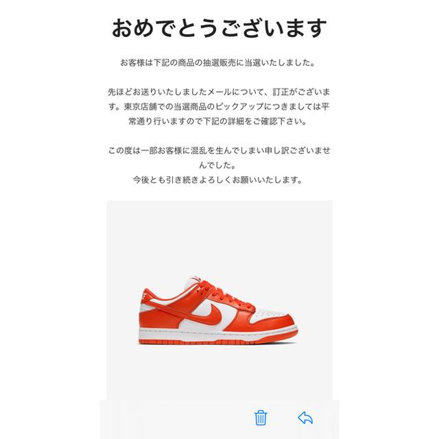 NIKE(ナイキ)のNIKE DUNK LOW Syracuse  メンズの靴/シューズ(スニーカー)の商品写真