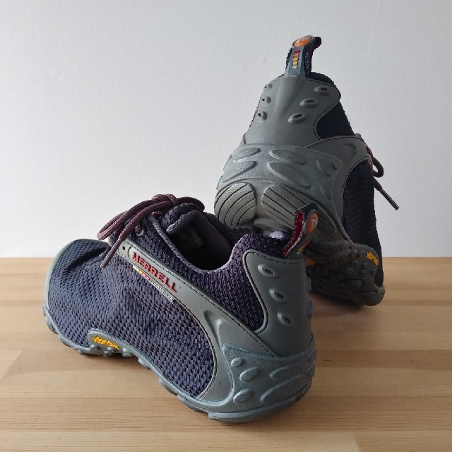 MERRELL(メレル)のmerrell / chameleon 2 storm gtx / 23.5cm レディースの靴/シューズ(スニーカー)の商品写真