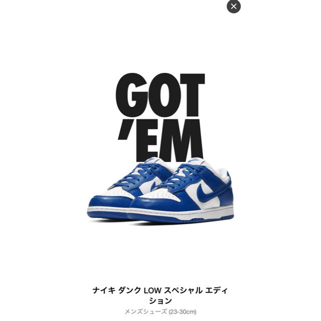 Nike dunk low Kentucky 27.5