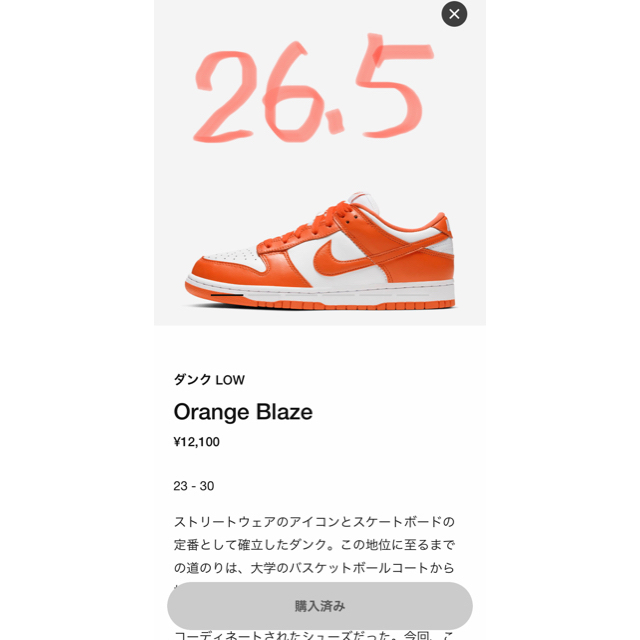 Nike ダンク low