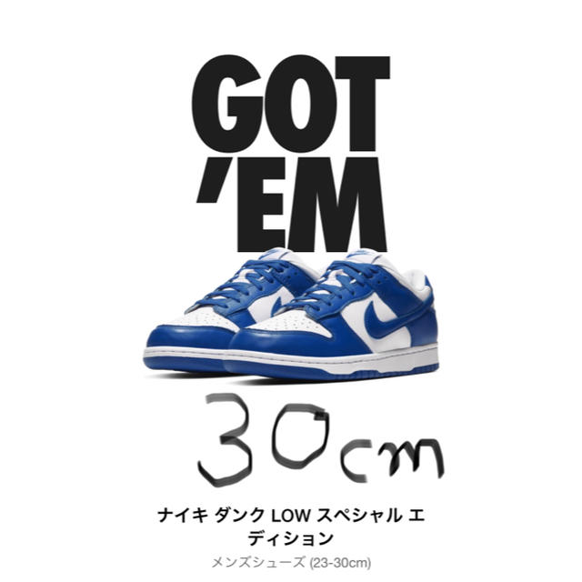 NIKE(ナイキ)のNike dunk low VARSITY ROYAL サイズ30cm メンズの靴/シューズ(スニーカー)の商品写真