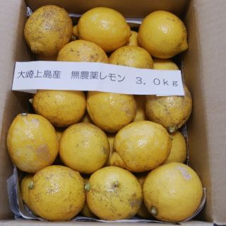 広島県大崎上島産無農薬レモン3.0kg(フルーツ)