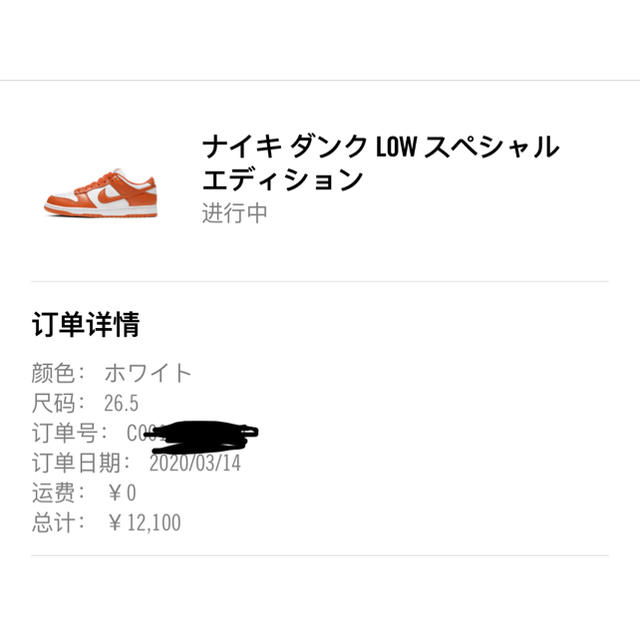 Nike Dunk Low Syracuse Orange 26.5