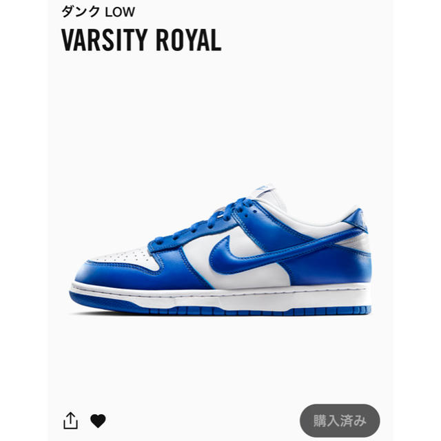 dunk varsity royal 28cm