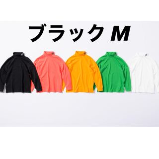 シュプリーム(Supreme)のSupreme THE NORTH FACE RTG  Turtleneck(Tシャツ/カットソー(七分/長袖))