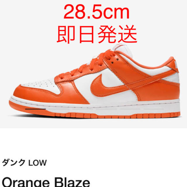 28.5 NIKE DUNK LOW ORANGE BRAZE