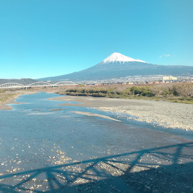 香水5番専用ページ コスメ/美容の香水(香水(女性用))の商品写真