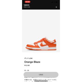 ナイキ(NIKE)のNIKE DUNK LOW Syracuse 26(スニーカー)