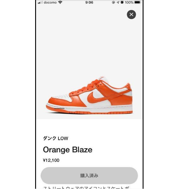 NIKE(ナイキ)のNIKE DUNK LOW SP SYRACUSE ORANGE BLAZE メンズの靴/シューズ(スニーカー)の商品写真