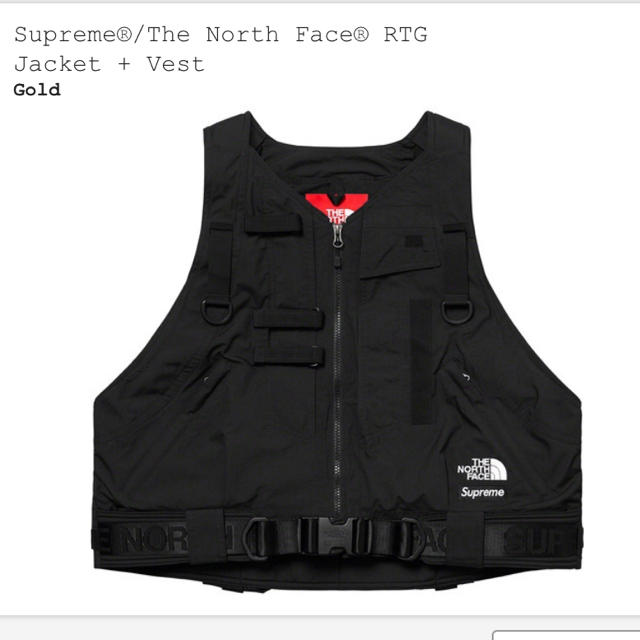 ベストのみ　supreme the north face rtg vest M