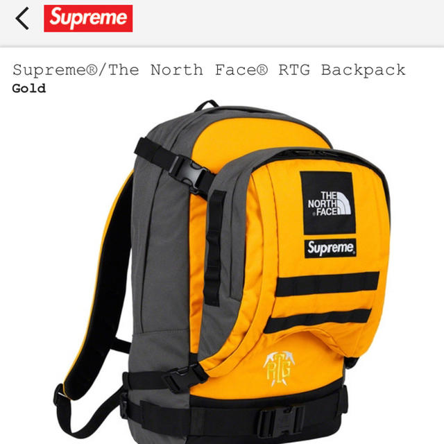 メンズ本日発送 supreme north face RTG backpack