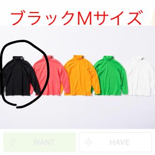 シュプリーム(Supreme)の新品 黒 M supreme the north face turtleneck(Tシャツ/カットソー(七分/長袖))