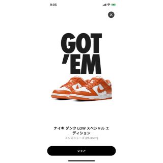 ナイキ(NIKE)のNIKE DUNK low orange braze ダンク 25(スニーカー)