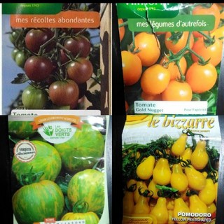 1月～5月蒔き　イタリア野菜の種子など。カラフルなトマトの種　4種類10粒ずつ
(野菜)