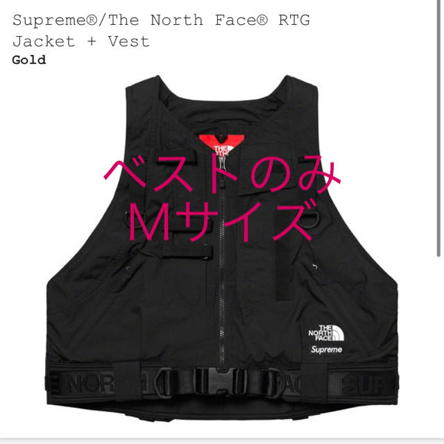 Supreme/The North Face RTG Jacket/Vest