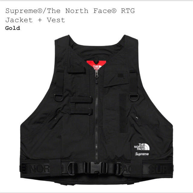 Supreme/The North Face RTG Jacket/Vest 3