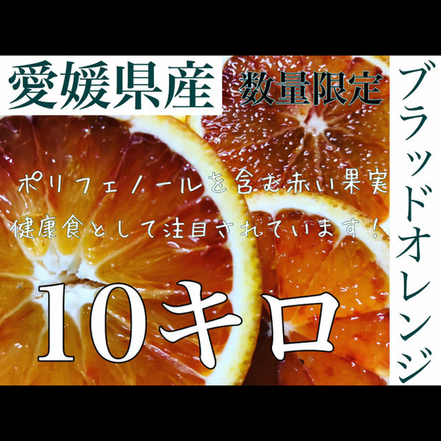 愛媛県産ブラッドオレンジ　訳あり10キロ